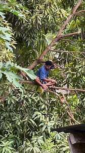 19K views · 610 reactions | Life update guys #reelsviralシ | SANO Boholano vlogstutorial | Facebook