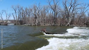 Fallen log on a small waterfall in Fox River, Wisconsin during early spring