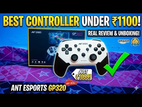 Best Controller Under 1100! After 1 Year Review of Ant Esport GP320