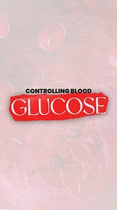 20K views · 37 reactions | Entrepreneur and podcaster Tom Bilyeu of Impact Theory is this weeks guest on Shane Smith Has Questions. Listen to the whole conversation - link in bio  #podcast #vice #news #shanesmith #tombilyeu #impacttheory #health #sugar | VICE News | Facebook