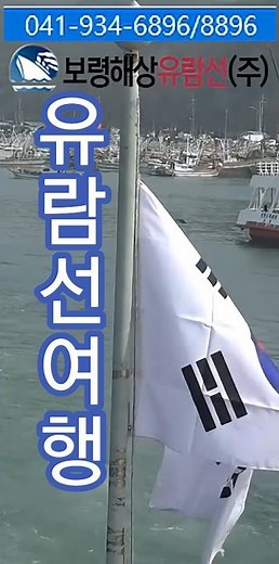 #대천바다갈매기가부른다 대천크루즈유람선 가족과함께·갈매기와함께 바다힐링여행 대천크루즈유람선출항|힐링여행 한방에해결~! |예약 041-934-6896/8896 #대천크루즈유람선