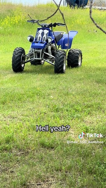 Exploring the Yamaha Banshee 350 Performance