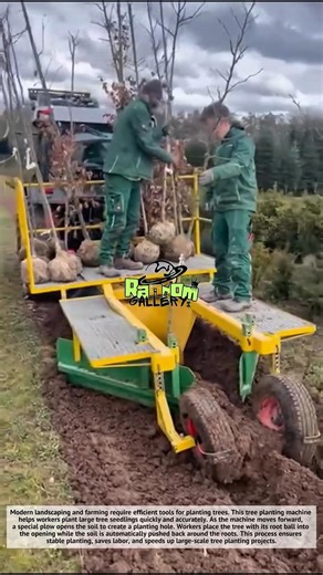 Amazing Tree Planting Machine | Fast Tree Planting Technology
