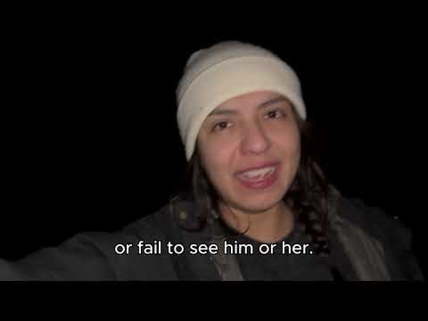 Gwiinawaabam = Unable/Fail to see h/ (Ojibwe Word of the Day)