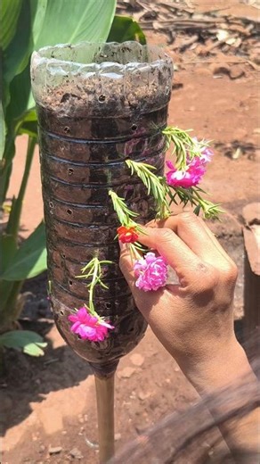 😲 Bottle Trick for Moss Rose! Easy Cutting Hack 🌱 #Shorts #trending #gardening