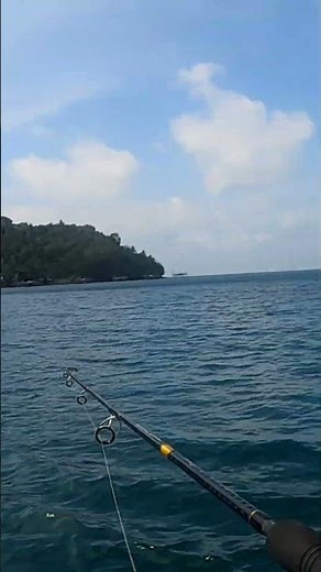straight strike #castingtuna