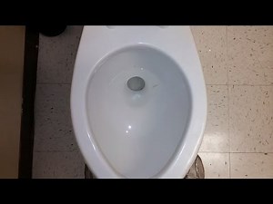 [527] Late 1990's American Standard Fixtures (Cadet and Cadet II) and 2013 Cadet Pro