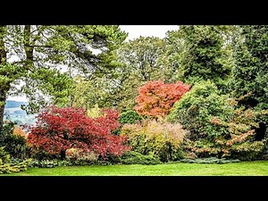 One of UK's finest gardens explodes with beautiful autumnal colour after hot summer | SWNS