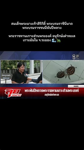 รู้หรือไม่ว่า เกาะมันใน จ.ระยอง ซึ่งมีพื้นที่ 134 ไร่ เดิมมันเคยเป็นทรัพย์สินส่วนพระองค์ของพระพันปีหลวง ก่อนที่จะยกให้เป็นสมบัติของแผ่นดิน เพื่ออนุรักษ์เต่าทะเล ในปี 2518 ปัจจุบันที่นี่เป็นสถานที่อนุบาลลูกเต่าทะเลก่อนจะปล่อยลงสู่ทะเล นอกจากนั้นภายในโครงการฯ ก็ยังมีการเลี้ยงพ่อพันธุ์แม่พันธุ์เต่าทะเล เพื่อใช้ในการขยายพันธุ์ และมีส่วนจัดแสดงให้ความรู้เกี่ยวกับเต่าทะเล ให้นักท่องเที่ยว 🙏 🇹🇭 #สมเด็จพระนางเจ้าสิริกิติ์ #พระบรมราชินีนาถ #พระพันปีหลวง #รัชกาลที่9 #เสด็จสู่สวรรคต #เกาะมันในะระยอง #ระ