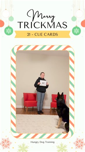 Alyse Mineroff CBCC-KA on Instagram: "Day 21: Cue Cards Can dogs learn to read? Let’s find out! 1. Grab a piece of paper and write “Sit” on it. Present it to your dog, then verbally ask for a sit. Mark and reward. Repeat several times. 2. Now present the paper and wait for your dog to offer a sit. Mark and reward when they do. 3. Repeat the same steps with another paper with “Down” written on it. It can be helpful to write with a different weight or spread out the letters so your dog can learn t