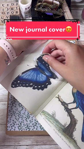 Journal With Nora on TikTok