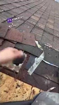 This roof is only 5 years old… and it’s leaking everywhere #roofinginnovation #roofing #homerepair