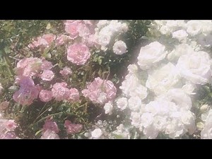 🍭Turning Red Subliminal🍭[Requested] || Pixxie