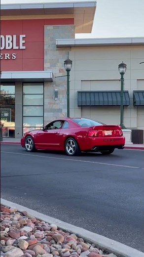 2003 cobra SVT terminator Borla stingers