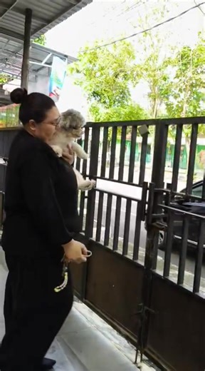 Joy, tidak mau ditinggal sm emaknya. ♥️💕 | Nur Sim