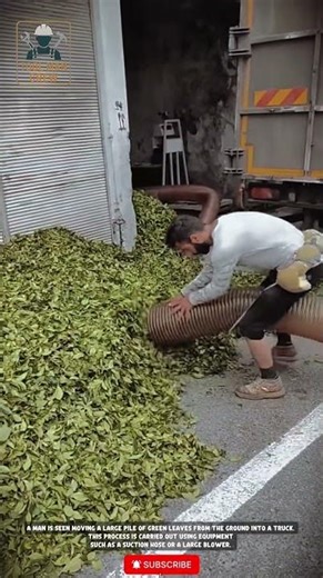 Super Fast Leaf Blower! Leaves Straight Into the Truck 😱 | Leaf Vacuum #toolmancrew #tools #workers