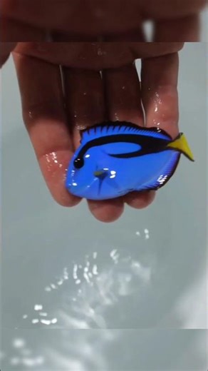 Can freshwater and saltwater fish live together? #fish