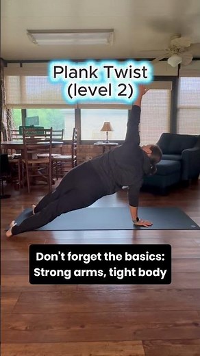Plank Twist (Level 2)