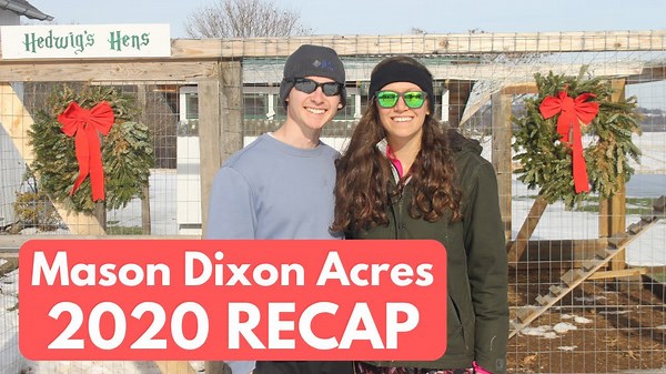 Complete 2020 recap: A year of ambitious DIY projects and lessons