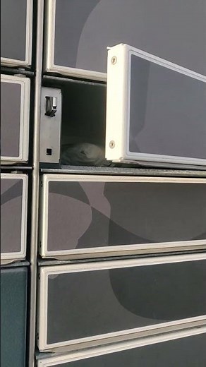 Using InPost Locker When Reselling & Dealing With Parcels