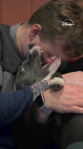 Pets, a Disney Original Documentary, is streaming April 11. | Disney