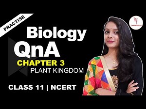 Biology Practice Session Chapter 3 | Plant Kingdom | Class 11 NCERT | Pankh Academy QnA