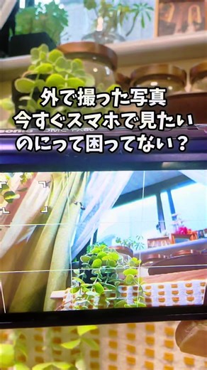 外で撮った写真、すぐスマホに入れたいのにってことありませんか？ この指サイズのカードリーダーで一発解決😆💕 USB3.0対応で転送も爆速、Type-CとUSB両対応だからスマホでもPCでもそのまま使える‼️ SDとmicro SDカードも同時読み込みOK、アプリも設定も不要😀 挿すだけで使えるから、旅行や外撮りのデー夕整理がめちゃ楽になる。 #カードリーダー #USB3 #ガジェット #データ転送 #スマホ容量不足