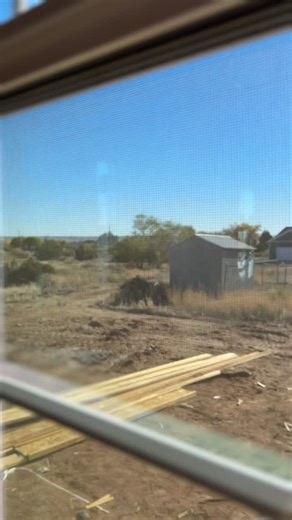 Windows are going up! 🙌 Huge shoutout to Arizona Building Supply for helping us bring this Max Kelli spec home one step closer to move-in ready. We love working with great local partners! #MaxKelliHomes #LocalBuilders #ArizonaBuildingSupply #BuildingCommunity #StJohnsAZHomes | Max Kelli Homes