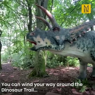 Dozens of life-sized dinosaurs have arrived at Heaton Park 🦖🦕 | Manchester Evening News