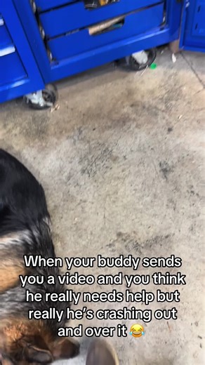 Understanding the Crashout Mechanic Phenomenon