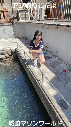 城崎マリンワールドでアジ釣り体験🎣
