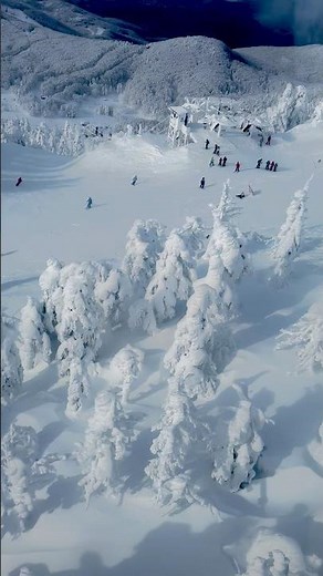 stunning snowy mountain views of Japan ❄️ 📍Yamagata, Zaoonsen #japan #ski #snow