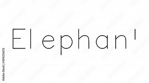Elephant Handwritten Text Animation in Various Sans-Serif Fonts and Weights