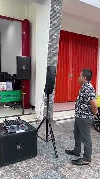 Line Array Mini crimson #soundsystem #subwoofer #speaker