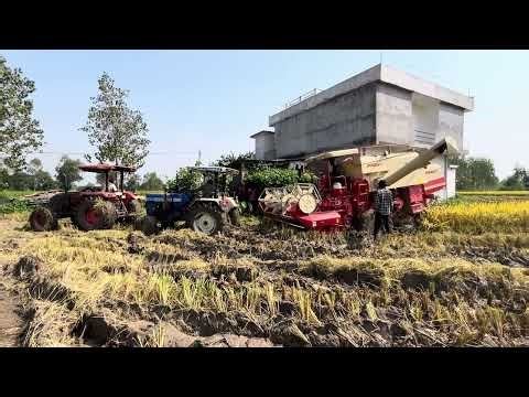 Preet mini combine help by Kubota 4x4 and Swaraj 744 #preet #swaraj