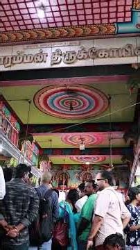 எனக்கே விபூதி அடிக்க பார்த்தாங்க... #kulasaiamma