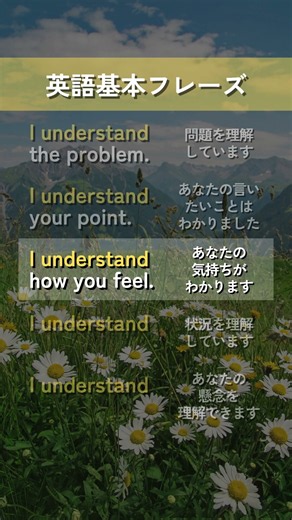 【英語基本フレーズ No.070】I understand ～. （～を理解しています）