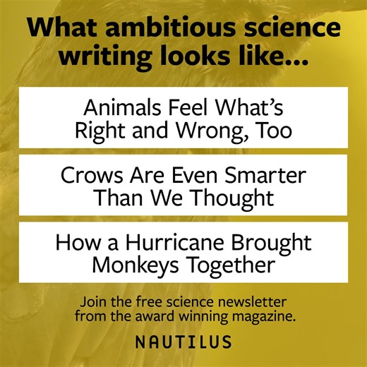 This newsletter is read by researchers at NASA, Harvard, and CERN but the stories are written in a way that everyone can understand. | Nautilus Magazine