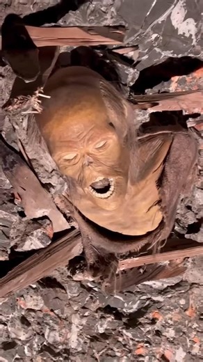 365 Austria on Instagram: "Salzwelten Salzburg – dive into the world of salt 🧂⚒️ Ride the mine train deep into the mountain, discover the history of salt mining and enjoy a raft trip across an underground salt lake. A unique experience for all ages https://365austria.com/en/listing/salt-mines-salzburg/ 🇦🇹 Salzwelten Salzburg – eintauchen in die Welt des Salzes 🧂⚒️ Fahrt mit der Grubenbahn tief in den Berg, spannende Einblicke in den historischen Salzabbau und eine Floßfahrt über den unterird