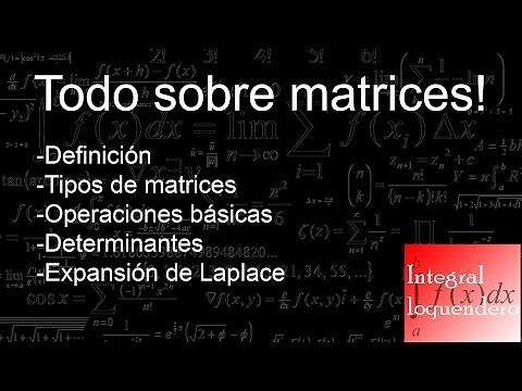 Todo sobre matrices (Guía completa)