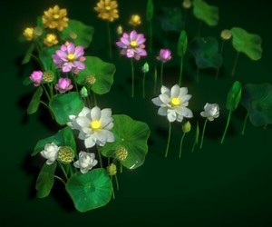 ArtStation - Flower Nelumbo Nucifera | Game Assets