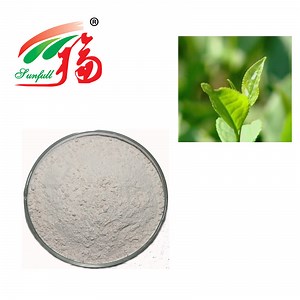 [Hot Item] 98% EC Green Tea Extract Powder Epicatechin for Enhancing Muscle Strength