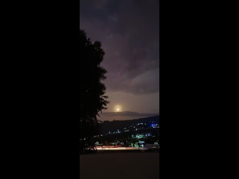 Relaxing Music Live 24/7 | Calm, Sleep, Study, Meditation Music