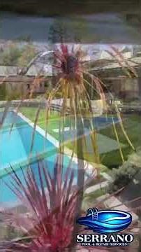 Need Pool Repair? We’re Here to Help! 🛠️