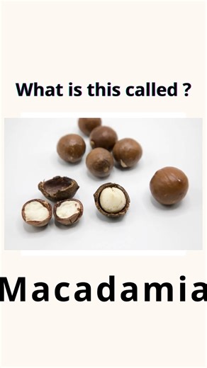 Nuts Vocabulary in English | Learn the Names of Nuts in English #dailyenglish #vocabulary #english