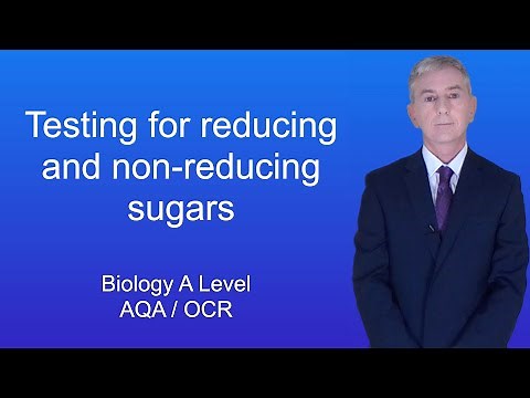 A Level Biology Revision "Testing for Reducing and Non-reducing sugars"