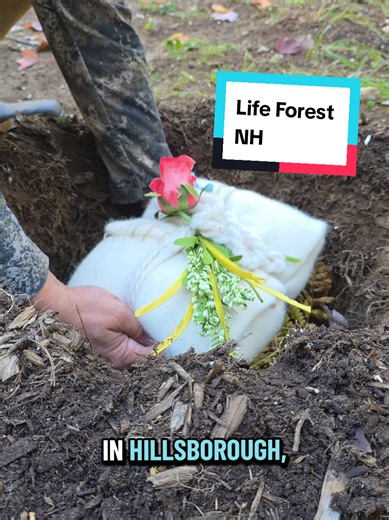Life Forest NH: Become a Tree at New Hampshire Conservation Cemetery