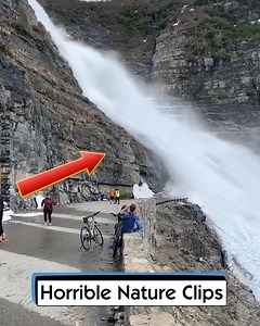 17K views · 73 reactions | Horrible Nature Clips | Wrestling News | Facebook