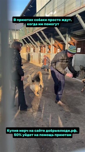 Заказывайте мерч на сайте добрыелюди.рф #добрыелюди #рекомендации #мерч #собакадругчеловека