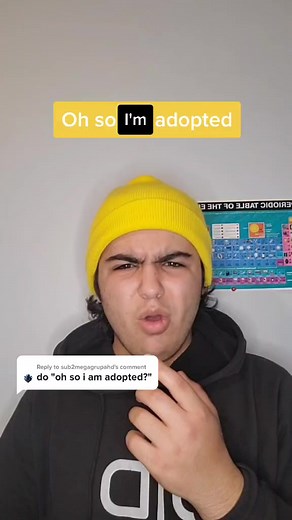 Understanding Adoption: My Experience and Insights